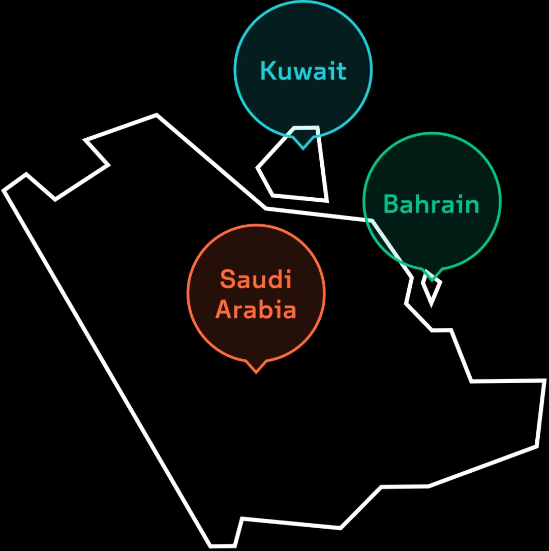 Part of the biggest telco in the Middle East